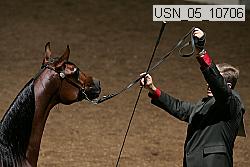 usn_05_10706 proof