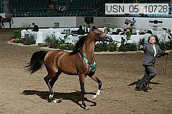 usn_05_10728 proof