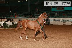 usn_05_10735 proof