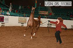 usn_05_11360 proof