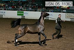 usn_05_11362 proof