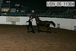 usn_05_11364 proof