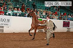 usn_05_11366 proof