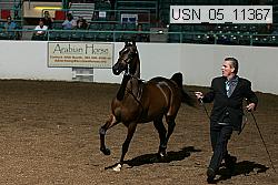 usn_05_11367 proof