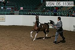 usn_05_11368 proof