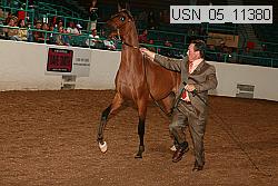 usn_05_11380 proof