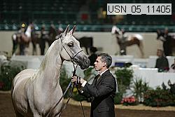 usn_05_11405 proof