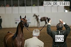 usn_05_11411 proof