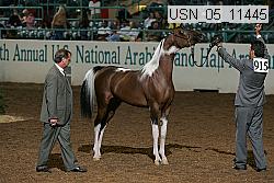 usn_05_11445 proof