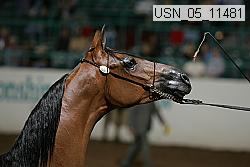 usn_05_11481 proof