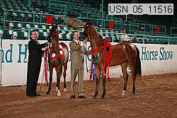 usn_05_11516 proof