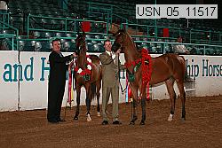 usn_05_11517 proof