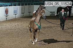 usn_05_11524 proof