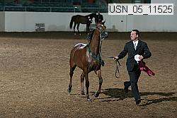 usn_05_11525 proof