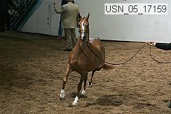usn_05_17159 proof