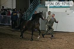 usn_05_17161 proof