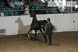 usn_05_17169 proof