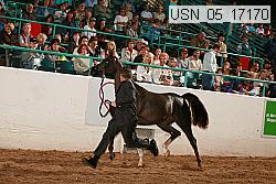 usn_05_17170 proof