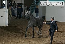 usn_05_17171 proof