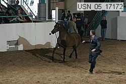 usn_05_17172 proof