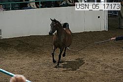 usn_05_17173 proof