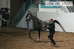 usn_05_17177 proof