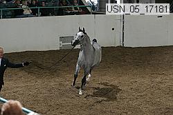 usn_05_17181 proof