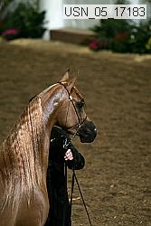 usn_05_17183 proof