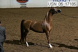 usn_05_17185 proof