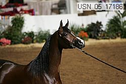 usn_05_17186 proof