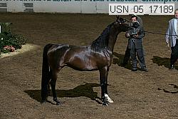 usn_05_17189 proof