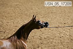 usn_05_17209 proof