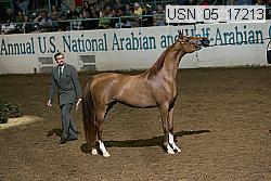 usn_05_17213 proof