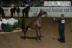 usn_05_17214 proof