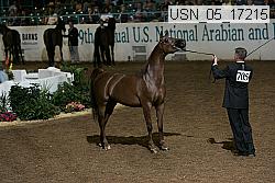 usn_05_17215 proof