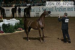 usn_05_17216 proof