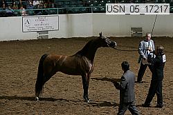 usn_05_17217 proof