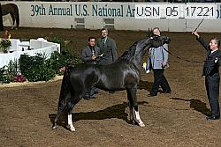 usn_05_17221 proof