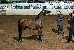 usn_05_17233 proof