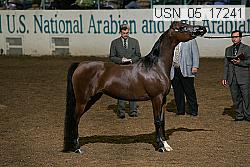 usn_05_17241 proof