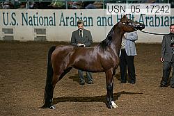 usn_05_17242 proof