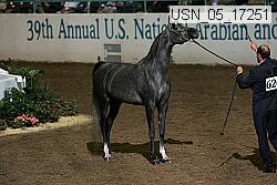 usn_05_17251 proof
