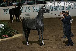usn_05_17253 proof