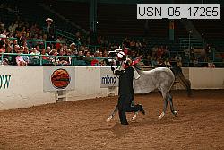 usn_05_17285 proof