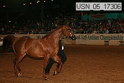 usn_05_17306 proof