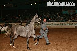 usn_05_17308 proof