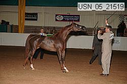 usn_05_21519 proof