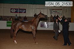usn_05_21530 proof