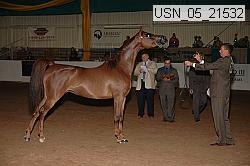 usn_05_21532 proof