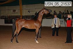 usn_05_21537 proof
